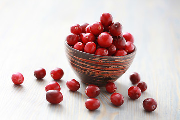 Image showing cranberries