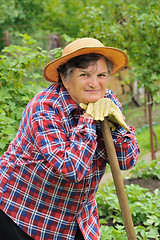 Image showing Senior woman gardening