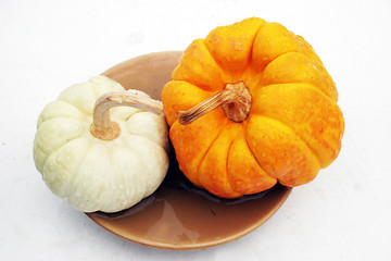 Image showing Pumpkins