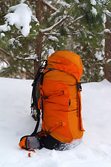 Image showing Backpack in snow forest