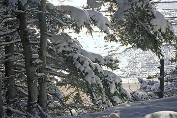 Image showing Winter Landscape