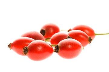 Image showing rose hip