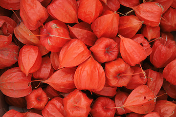 Image showing exotic fruits