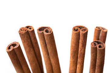 Image showing Cinnamon sticks