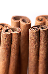 Image showing Cinnamon sticks