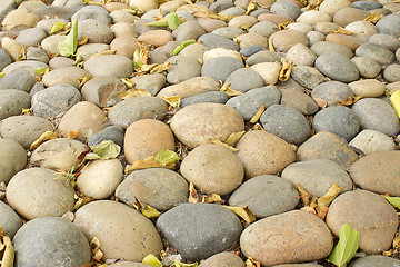 Image showing Pebbles