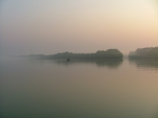 Image showing Misty