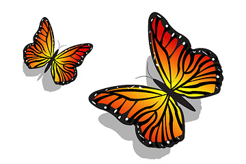 Image showing pair of butterfly