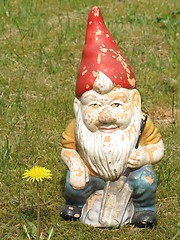 Image showing garden gnome