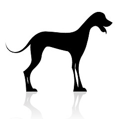 Image showing black dog silhouette