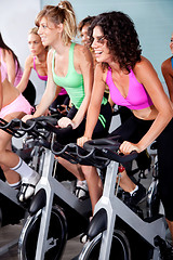 Image showing people spinning on bicycles in a gym