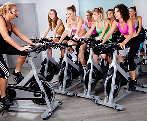 Image showing Group of people doing exercise on a bike