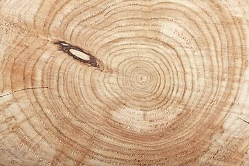 Image showing Wood texture