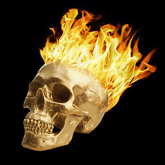 Image showing Blazing Skull