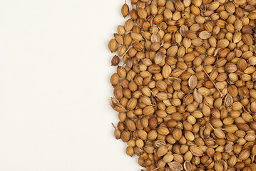 Image showing Coriander seeds