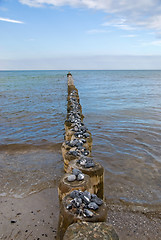 Image showing beach baltic sea