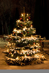 Image showing christmas tree