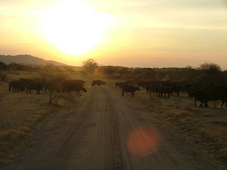 Image showing Dusty road