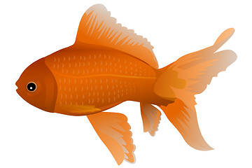 Image showing isolated gold fish