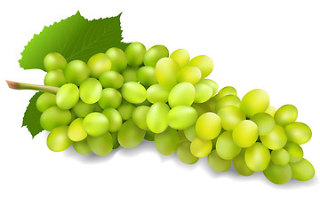 Image showing bunch of green grapes