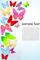Image showing butterfly background