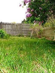 Image showing yard