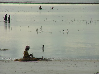 Image showing Beach life