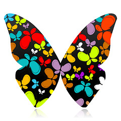 Image showing colorful butterfly