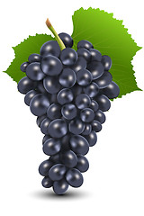 Image showing bunch of black grapes