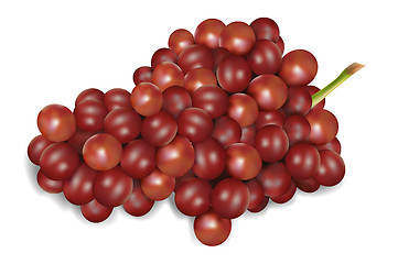 Image showing grapes