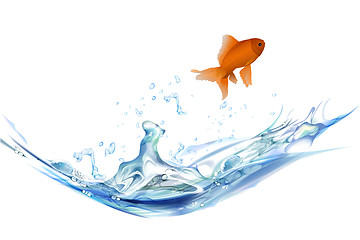 Image showing jumping fish