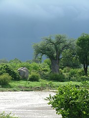 Image showing Rain arrives