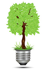 Image showing tree on bulb holder