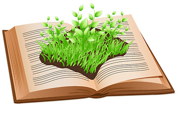 Image showing grass on open book
