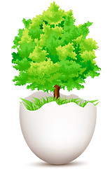 Image showing tree on egg