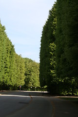 Image showing Park road