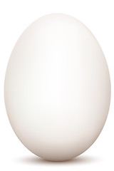 Image showing an egg