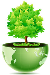 Image showing green globe