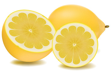 Image showing orange slices