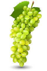 Image showing juicy grapes