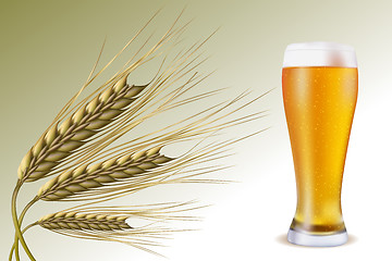 Image showing grain with beer