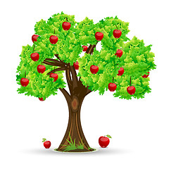 Image showing apple tree