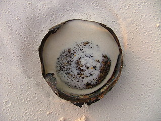 Image showing Rusty can