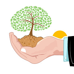 Image showing natural tree growing on hand