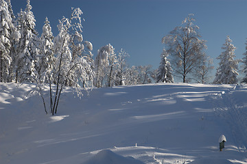 Image showing winter hill