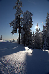 Image showing winter wonderland