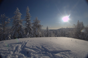 Image showing sunny winter