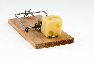 Image showing Mouse trap with cheese.