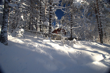 Image showing Winter wonderland