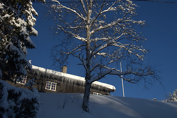 Image showing Winter cottage